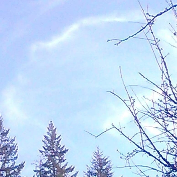 Meet your Posher, Jennifer - Picture 1 of 1